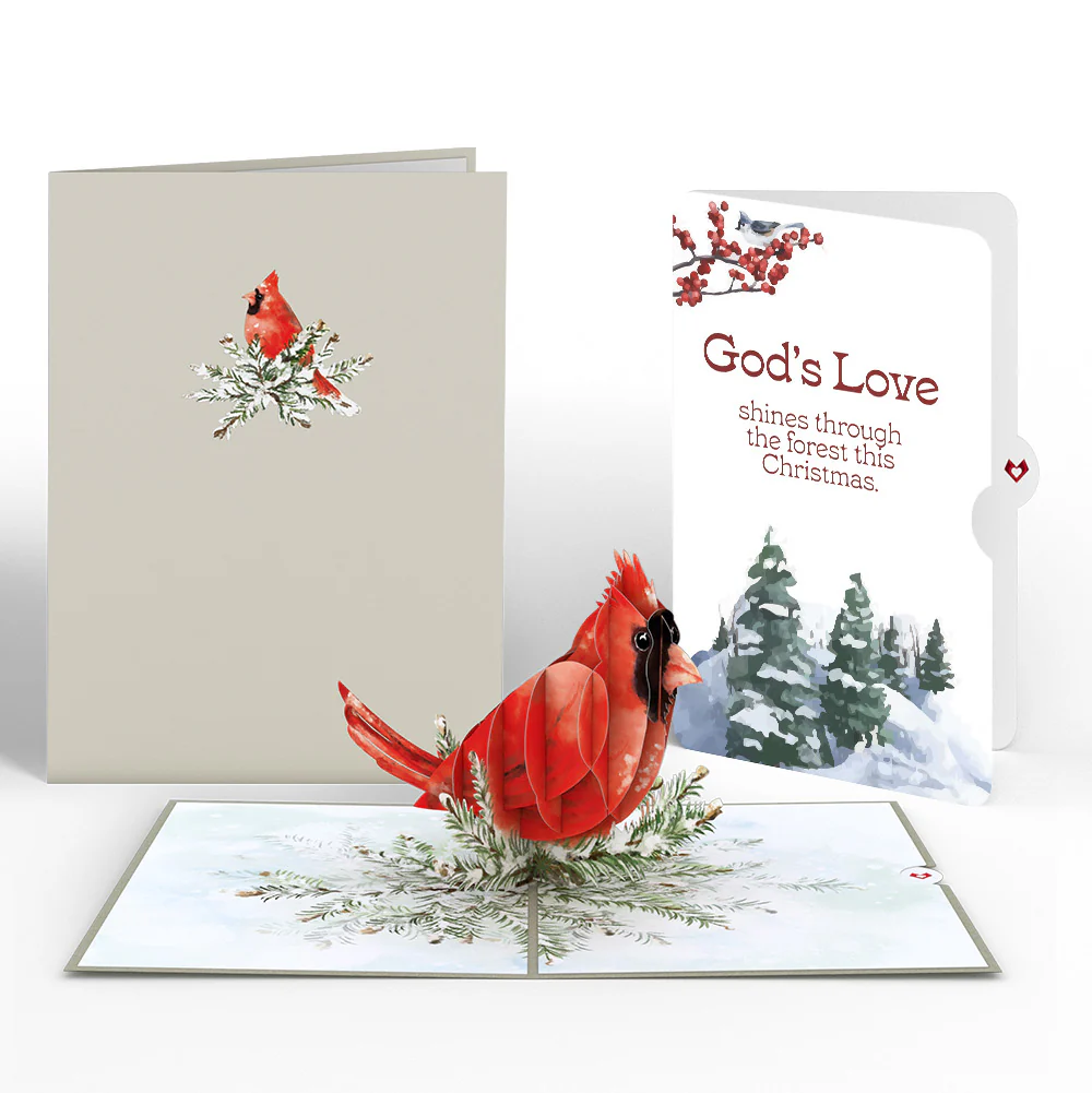 Winter Cardinal Christmas Pop-Up Card and God's Love Sentiment Set