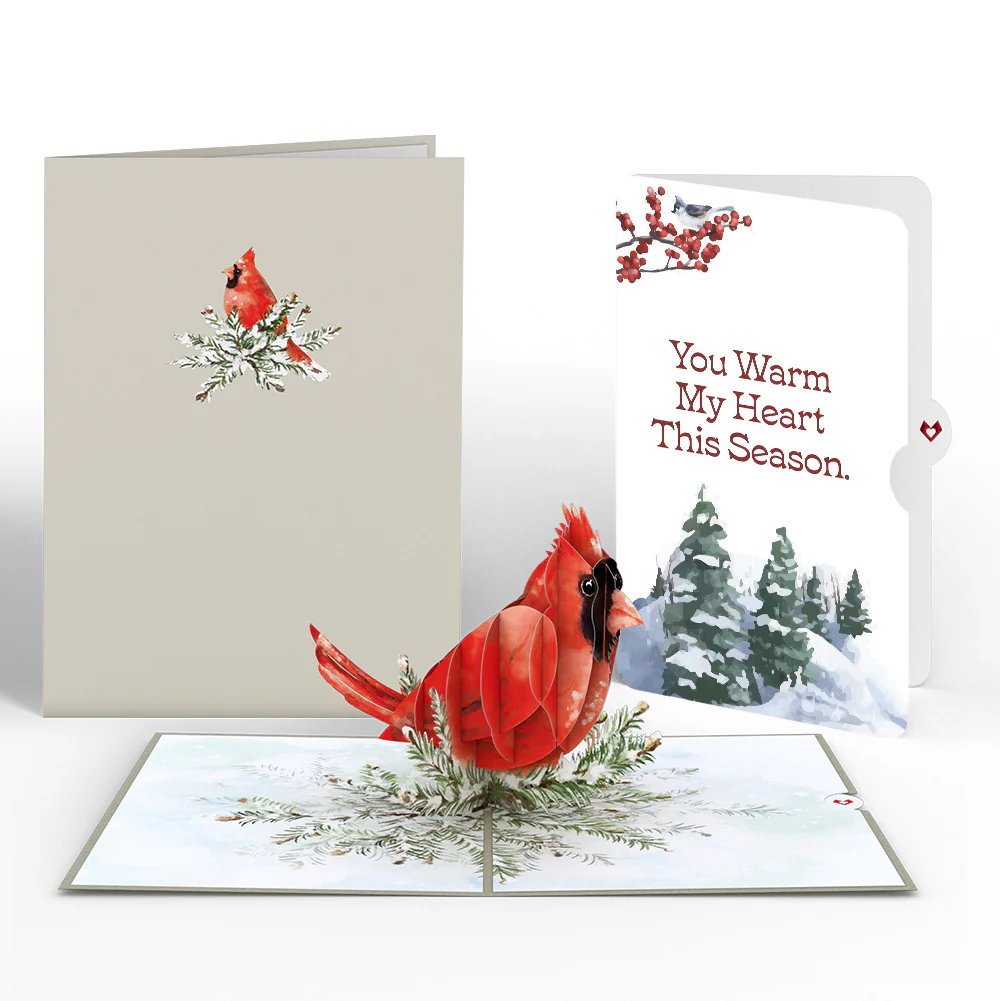 Winter Cardinal Love Pop-Up Card and Sentiment Set