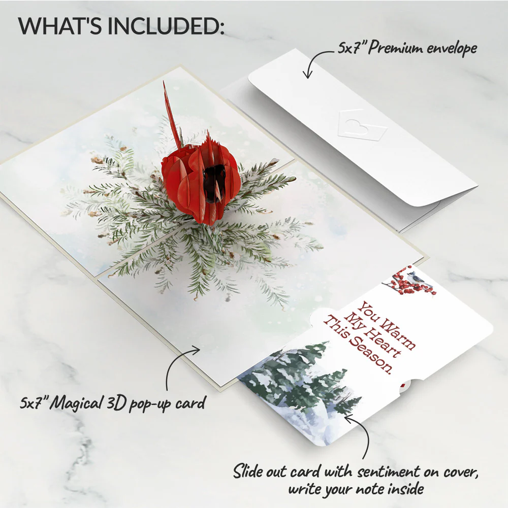 Winter Cardinal Love Pop-Up Card and Sentiment Set - Image 2